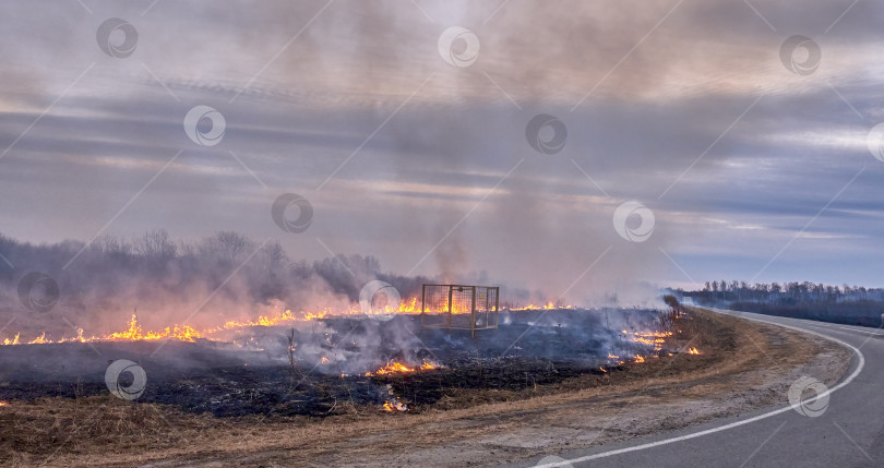 Скачать На поле у дороги горит сухая трава. фотосток Ozero