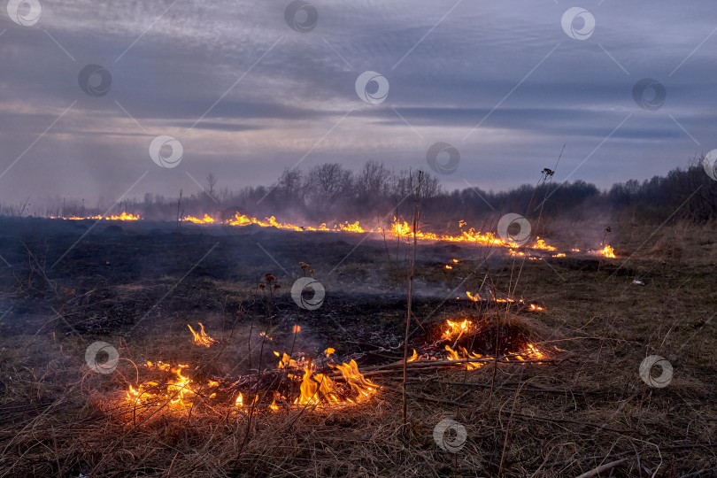 Скачать На поле горит сухая трава фотосток Ozero