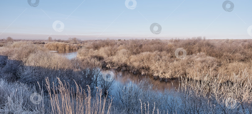 Скачать Сибирская река Вагай ранним утром. Трава и кусты покрыты инеем. фотосток Ozero