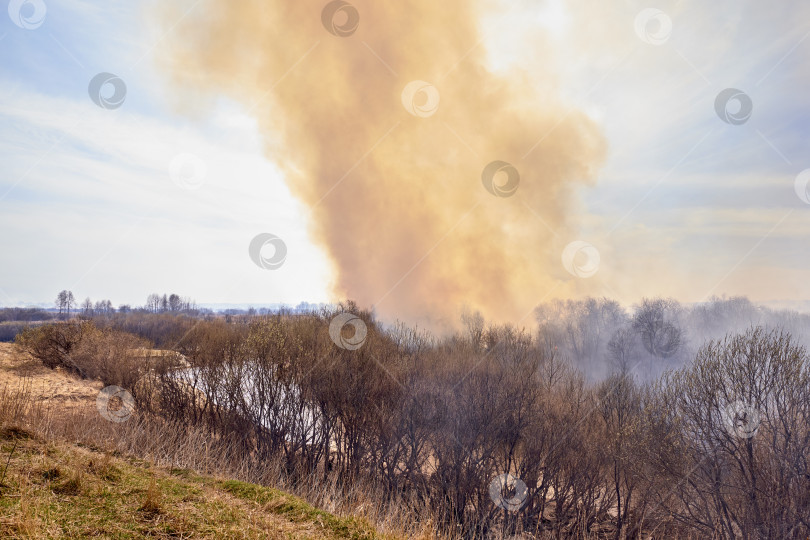 Скачать Облака разноцветного дыма плывут по небу. Массовый лесной пожар. фотосток Ozero