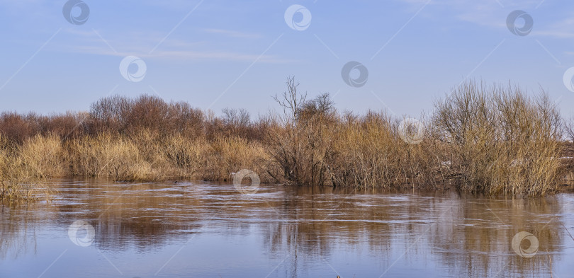 Скачать Весенний паводок на сибирской реке Вагай, Россия. фотосток Ozero