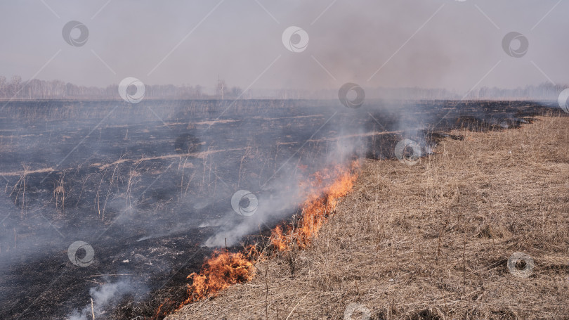 Скачать Весной на поле горит сухая трава. фотосток Ozero