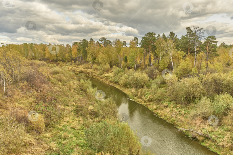 Скачать Сибирский осенний пейзаж с таежной рекой. фотосток Ozero