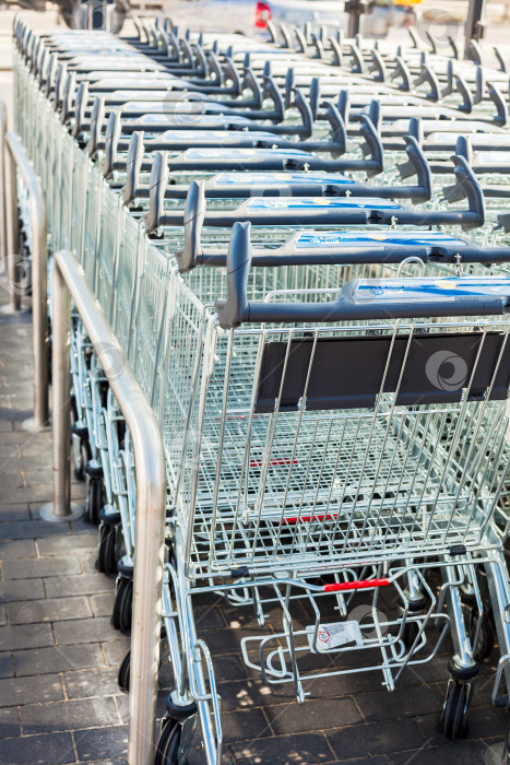 Скачать Линия тележек для покупок в супермаркете Lidl фотосток Ozero
