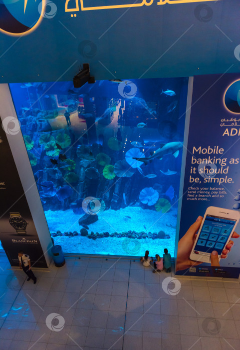 Скачать Огромный аквариум в торговом центре Dubai Mall фотосток Ozero