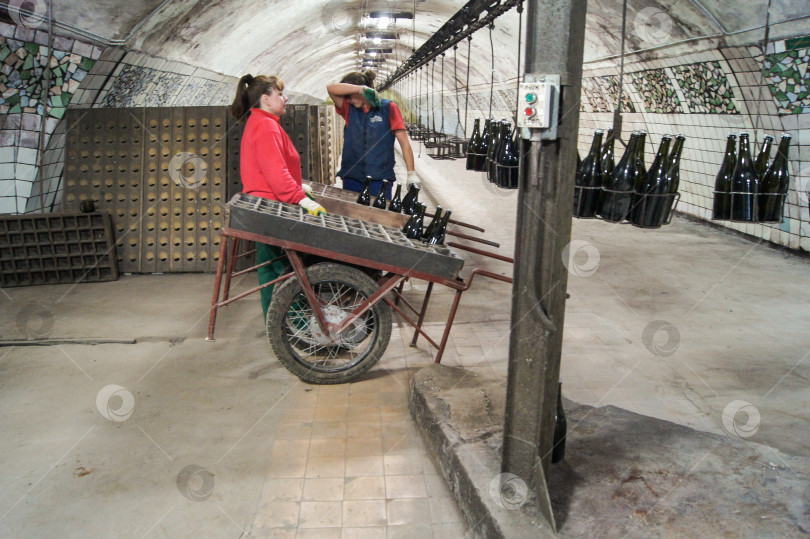 Скачать Работники винного производства. фотосток Ozero