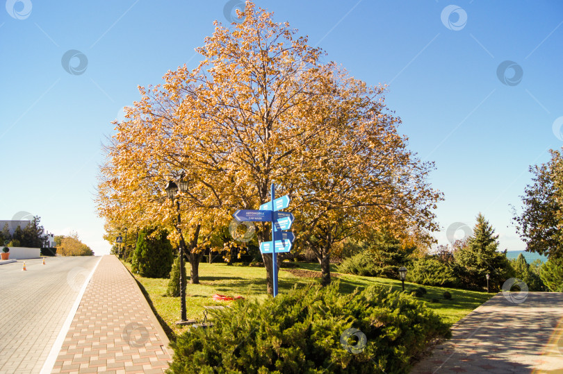 Скачать Осенний парк с дорожками. фотосток Ozero