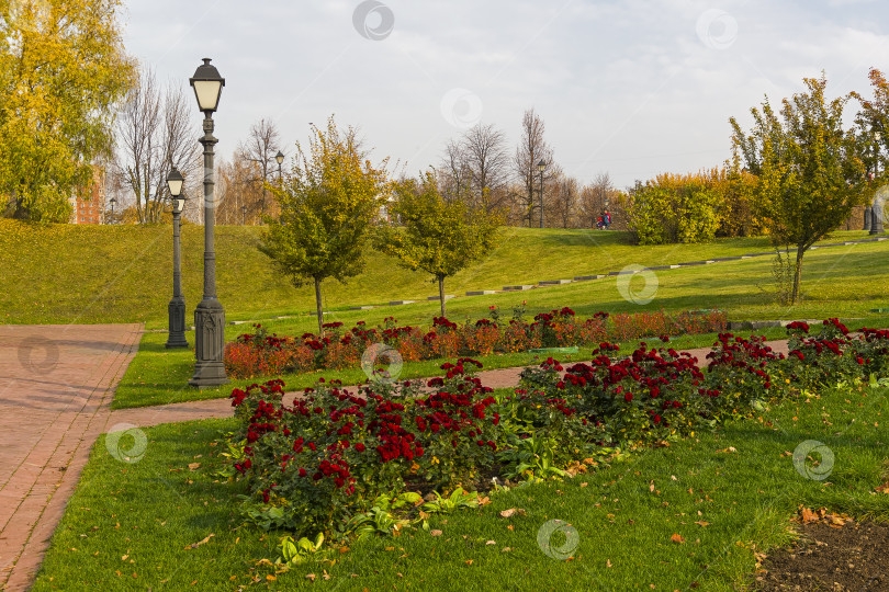 Скачать Осень в парке. фотосток Ozero