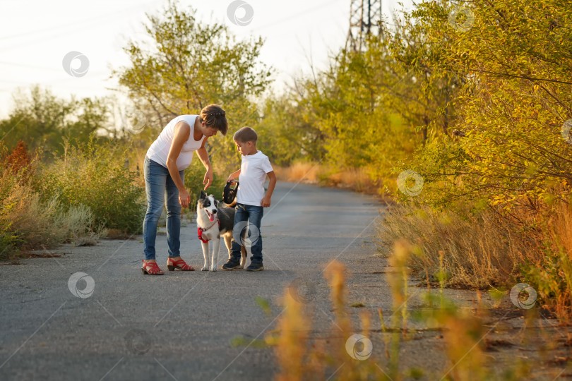 Скачать Семья. Мать, сын и собака фотосток Ozero