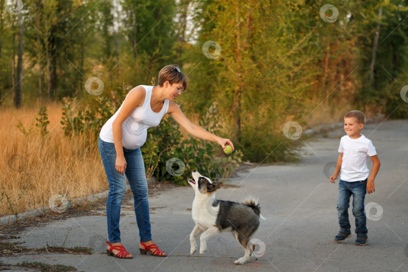 Скачать Семья. Мать, сын и собака фотосток Ozero