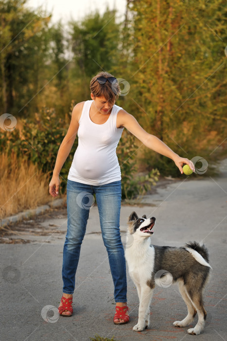 Скачать Девочка и собака фотосток Ozero