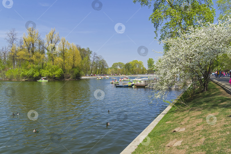 Скачать Пруд в парке. фотосток Ozero