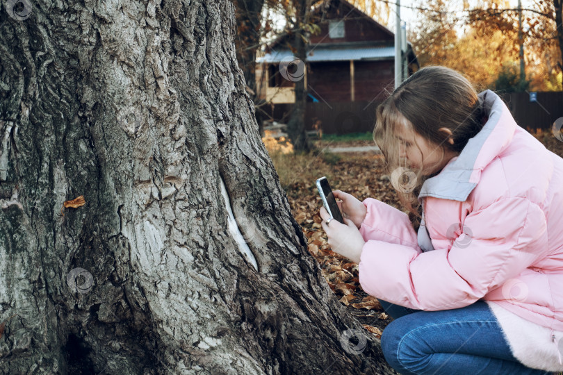 Скачать Молодая девушка осенью в розовой куртке фотографирует ствол дерева, кору. Крупный план, изучение местности фотосток Ozero