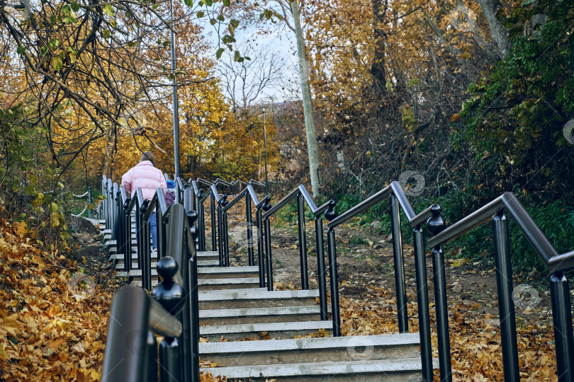 Скачать Бетонные ступени с перилами, поднимающиеся наверх, люди, поднимающиеся по лестнице, осенняя погода, сухие желтые и красные листья фотосток Ozero