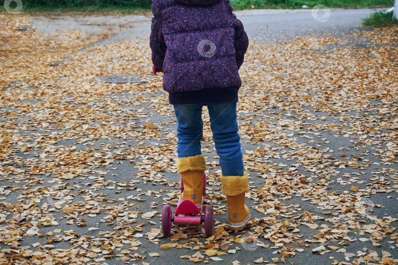 Скачать Девочка в фиолетовой куртке и желтых сапогах, катающаяся по сухим осенним листьям на розовом самокате, активный отдых. Дети, веселье фотосток Ozero
