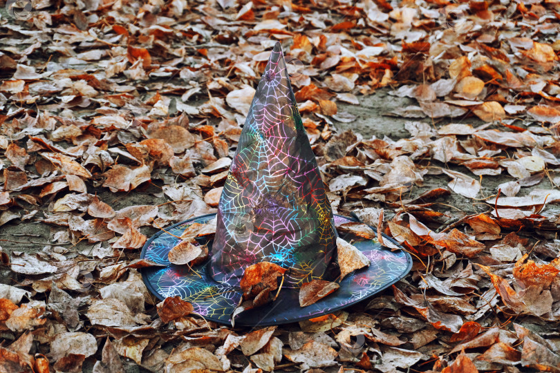 Скачать Шляпа ведьмы покоится на сухих осенних листьях, Хэллоуин, игры и развлечения. Одинокая шляпа лежит на земле фотосток Ozero