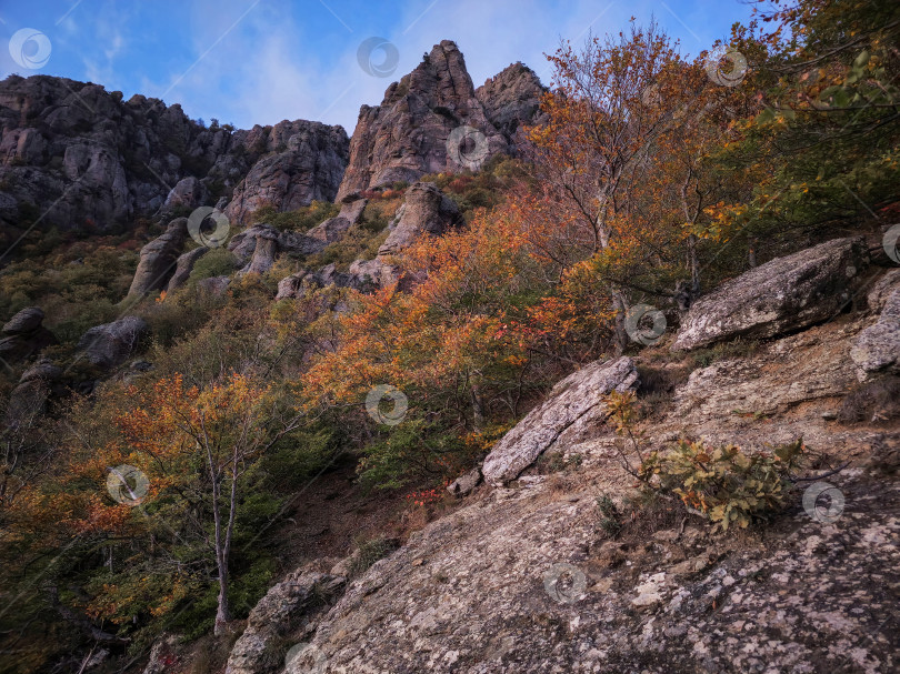 Скачать Вечерний осенний лес. Крымский пейзаж. фотосток Ozero