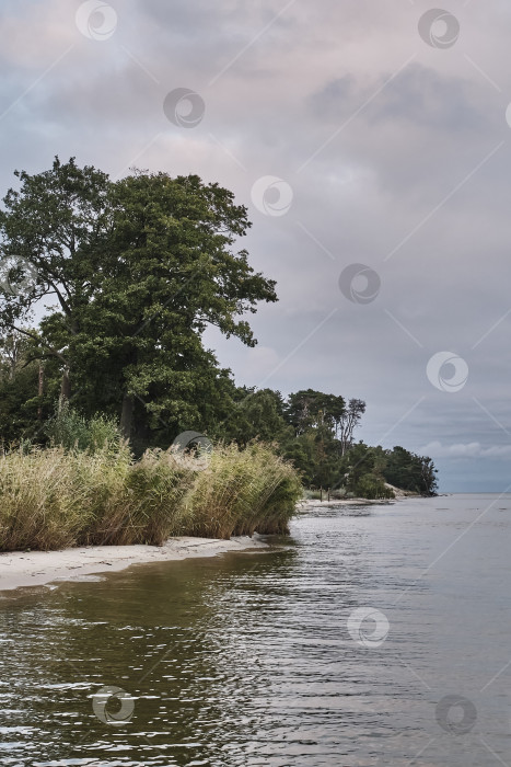 Скачать Прекрасный закат на побережье морского залива. фотосток Ozero