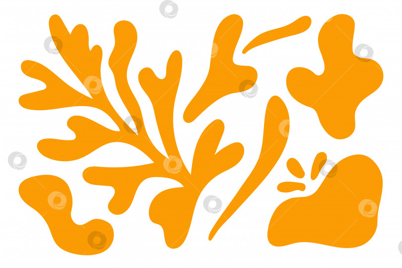 Скачать Абстрактные цветочные формы водорослей Матисса в модном современном органическом стиле. композиция каракулями нарисовала эстетичный цветок и лист. Ботаническая векторная иллюстрация желтого цвета на белом фоне. фотосток Ozero