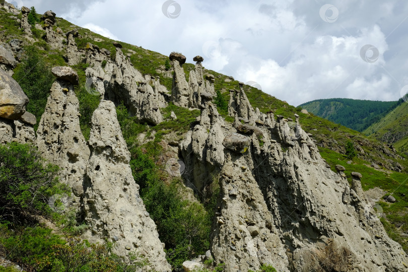 Скачать Скалы каменных грибов в горах Алтая близ реки Чулышман. Сибирь, Россия фотосток Ozero