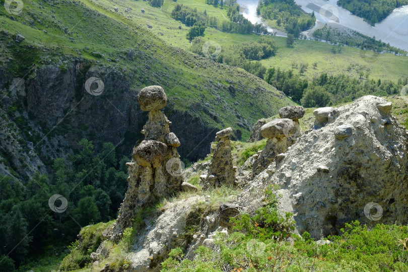 Скачать Скалы каменных грибов в горах Алтая близ реки Чулышман. Сибирь, Россия фотосток Ozero