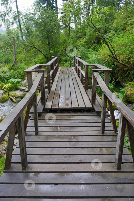 Скачать Деревянный мост в дождливом лесу, после дождя, между высокими зелеными деревьями фотосток Ozero