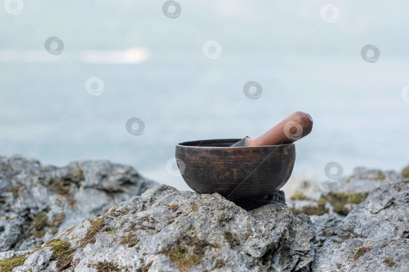 Скачать Тибетская поющая чаша с изображением санскритской гравюры на берегу озера. фотосток Ozero