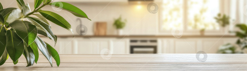 Скачать Пустой кухонный стол с зеленым растением в ярком домашнем интерьере с большими окнами, фон для макета баннера с пространством для копирования фотосток Ozero