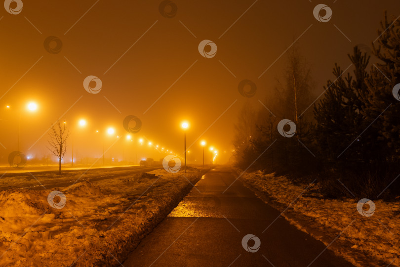 Скачать Туманная улица города ночью с фонарями и деревьями фотосток Ozero