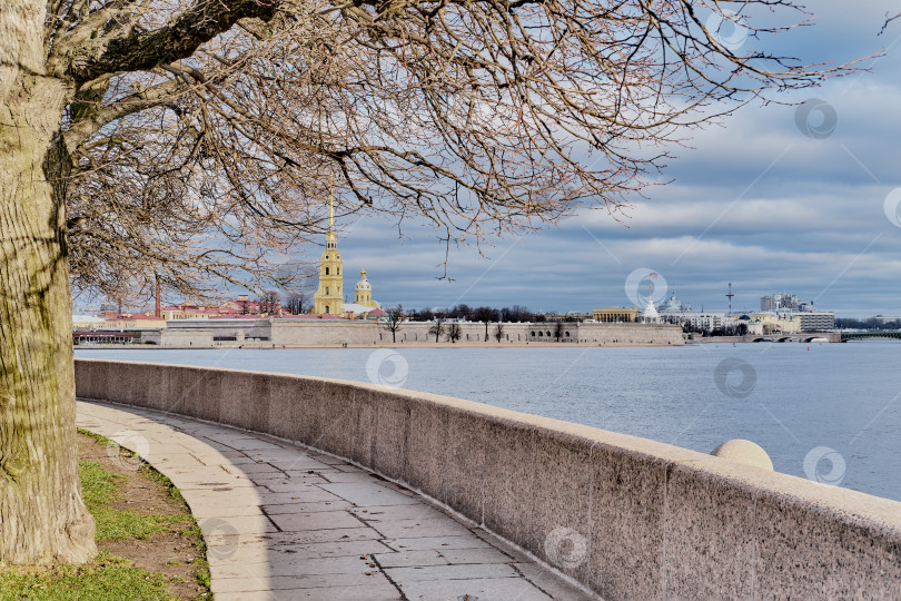 Скачать Городской пейзаж Санкт-Петербурга, Россия. Вид на Петропавловский собор и крепость, река Нева. фотосток Ozero