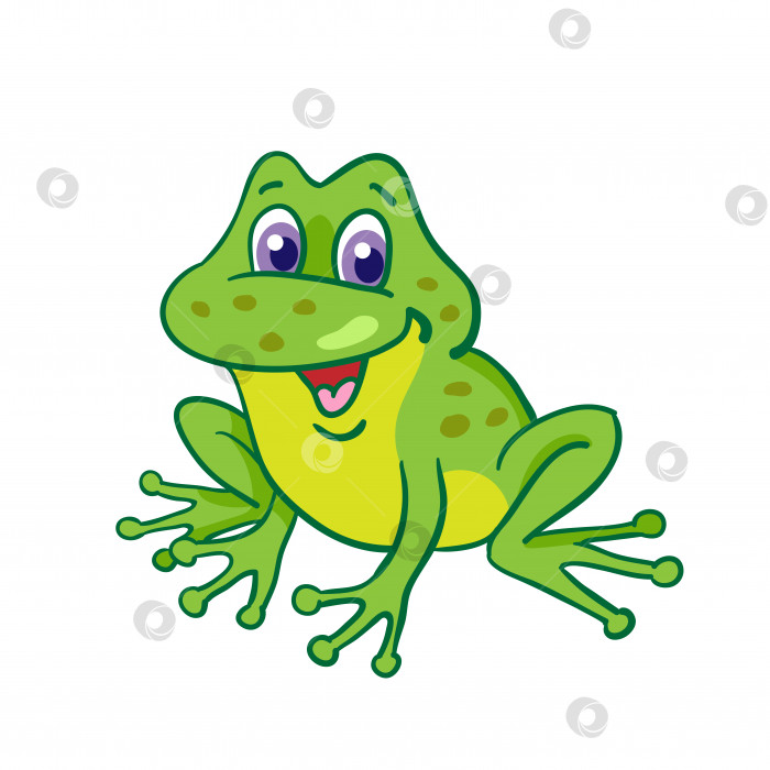 Скачать Маленькая забавная лягушка фотосток Ozero