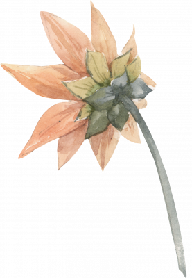 [object Object] undefined