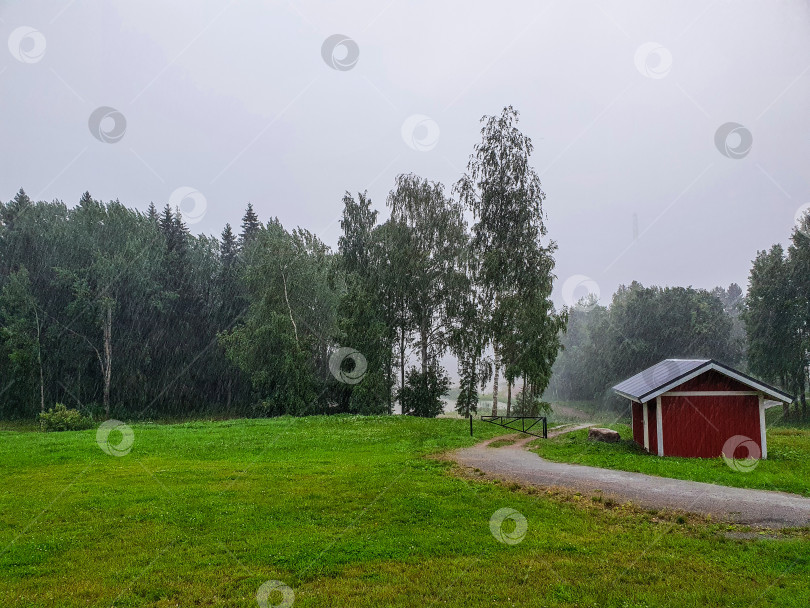 Скачать Ливень в деревне фотосток Ozero