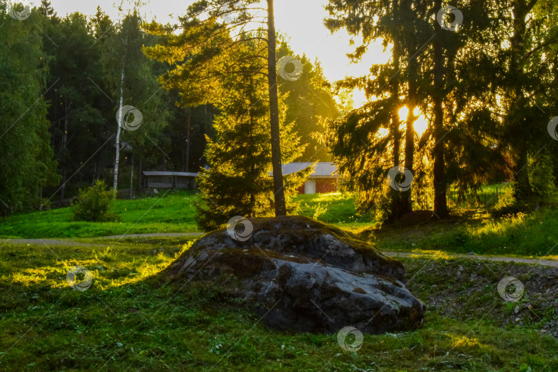 Скачать Мерцающие частицы в лучах заходящего солнца фотосток Ozero