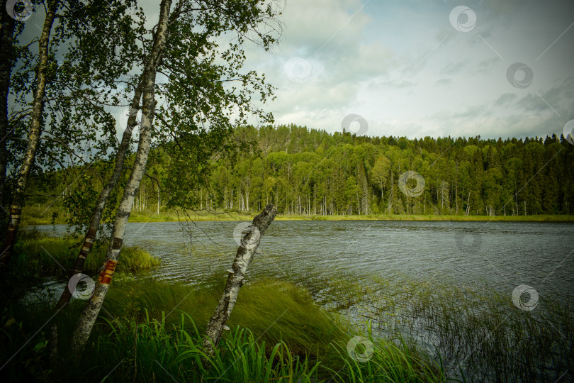 Скачать Красивое озеро среди гор фотосток Ozero