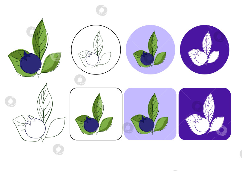 Скачать свежая черника с логотипом в виде листьев на цветном фоне. Векторная графическая иллюстрация. Спелая сочная черника для рекламы, этикеток, дизайна упаковки. клипарт с черникой фотосток Ozero