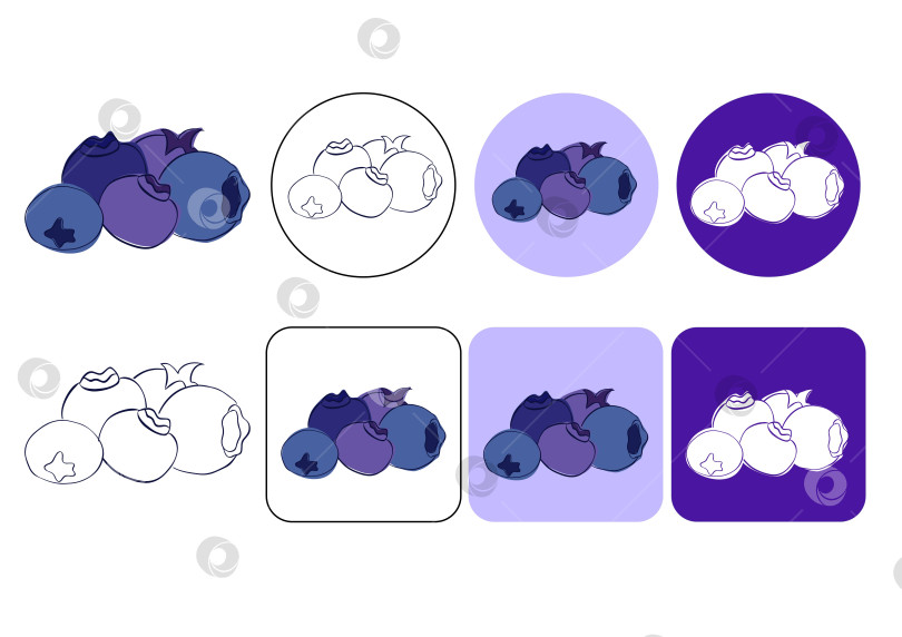 Скачать графическая линия векторной черники, набор логотипов на цветном фоне, пять лежащих куч ягод с листьями, падающая черника фотосток Ozero
