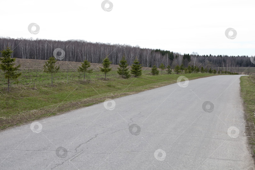 Скачать Весенний русский пейзаж фотосток Ozero