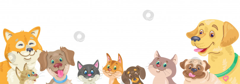 Скачать Группа забавных собак и кошек, сидящих вместе фотосток Ozero