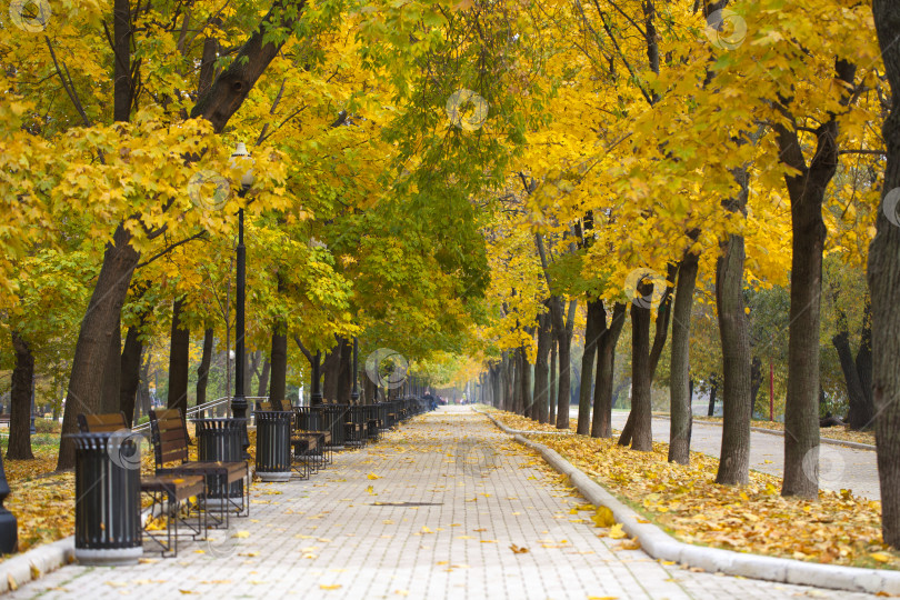 Скачать Осенняя красота фотосток Ozero