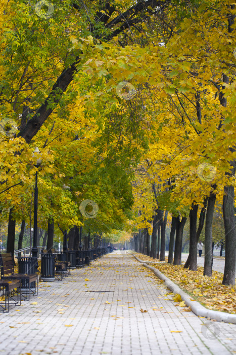 Скачать Осенняя красота фотосток Ozero