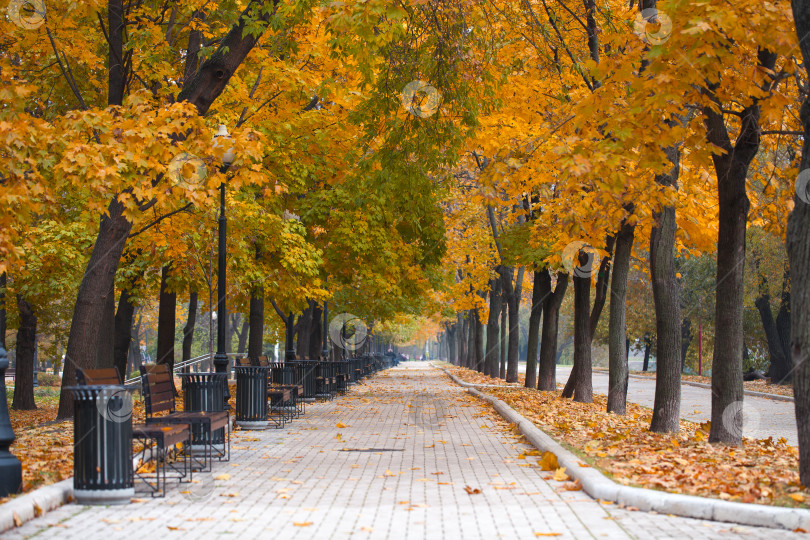 Скачать Осенняя красота фотосток Ozero