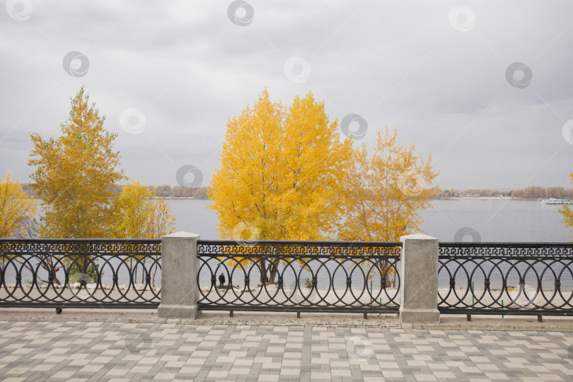 Скачать Красочный и туманный осенний парк фотосток Ozero