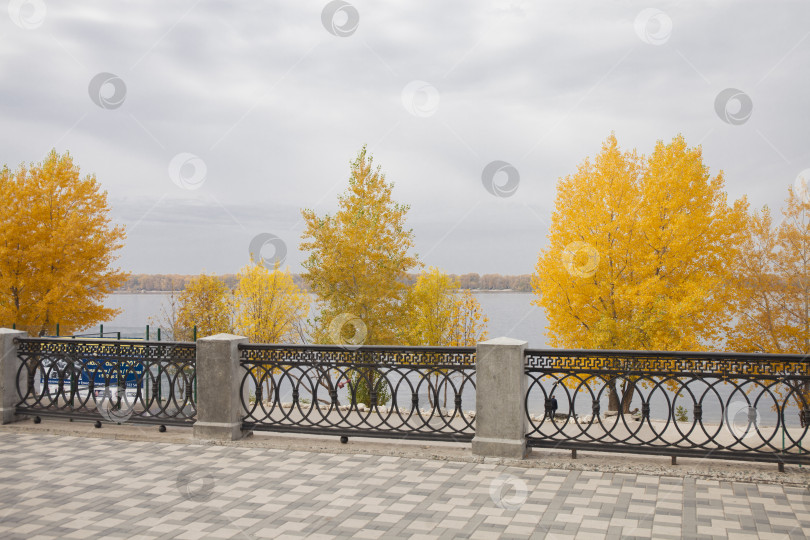 Скачать Красочный и туманный осенний парк фотосток Ozero