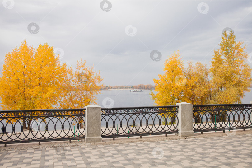 Скачать Красочный и туманный осенний парк фотосток Ozero