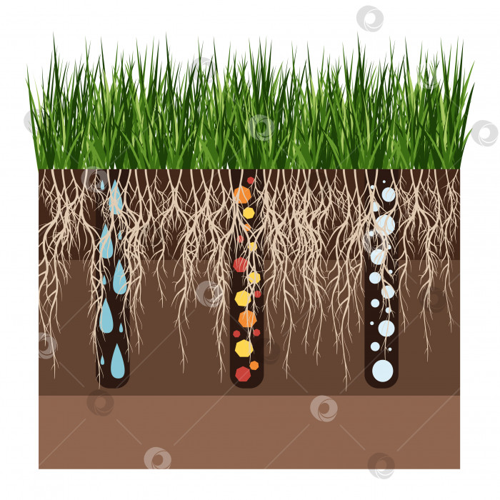 Скачать Уход за газоном - аэрация и скарификация. Этикетки по этапам-после. Потребление веществ - воды, кислорода и питательных веществ для питания травы и почвы. Векторная плоская иллюстрация изолирована фотосток Ozero