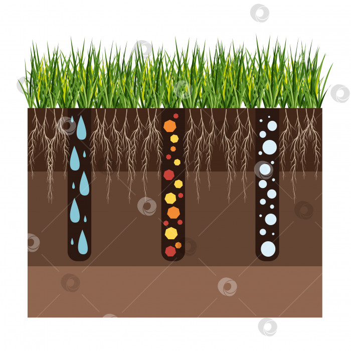Скачать Уход за газоном - аэрация и скарификация. Ярлыки по этапам-во время. Потребление веществ - воды, кислорода и питательных веществ для питания травы и почвы. Векторная плоская иллюстрация изолирована фотосток Ozero