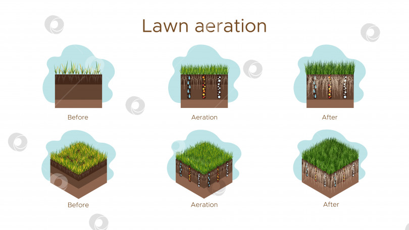 Скачать Уход за газоном - аэрация и скарификация. Надписи по этапам - до, во время и после. Потребление веществ - воды, кислорода и питательных веществ для питания травы и почвы. Векторная изометрическая и плоская иллюстрация изолирована фотосток Ozero