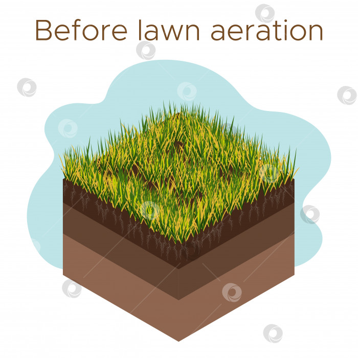 Скачать Уход за газоном - аэрация и скарификация. Этикетки по этапам-до. Потребление веществ - воды, кислорода и питательных веществ для питания травы и почвы. Векторная изометрическая иллюстрация изолирована фотосток Ozero