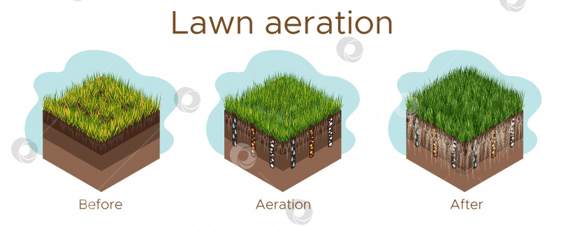 Скачать Уход за газоном - аэрация и скарификация. Надписи по этапам - до, во время и после. Потребление веществ - воды, кислорода и питательных веществ для питания травы и почвы. Векторная изометрическая иллюстрация изолирована фотосток Ozero